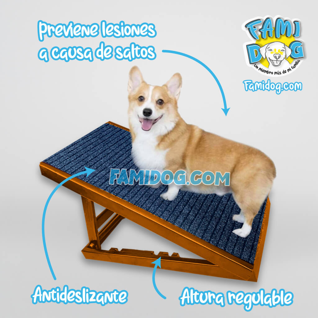 Dog ramp