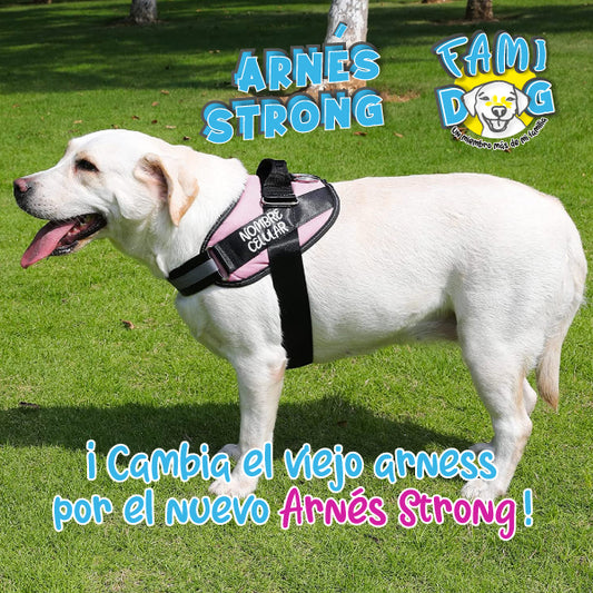 Strong Arnés®