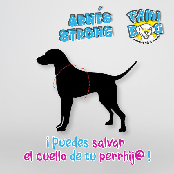 Strong Arnés®