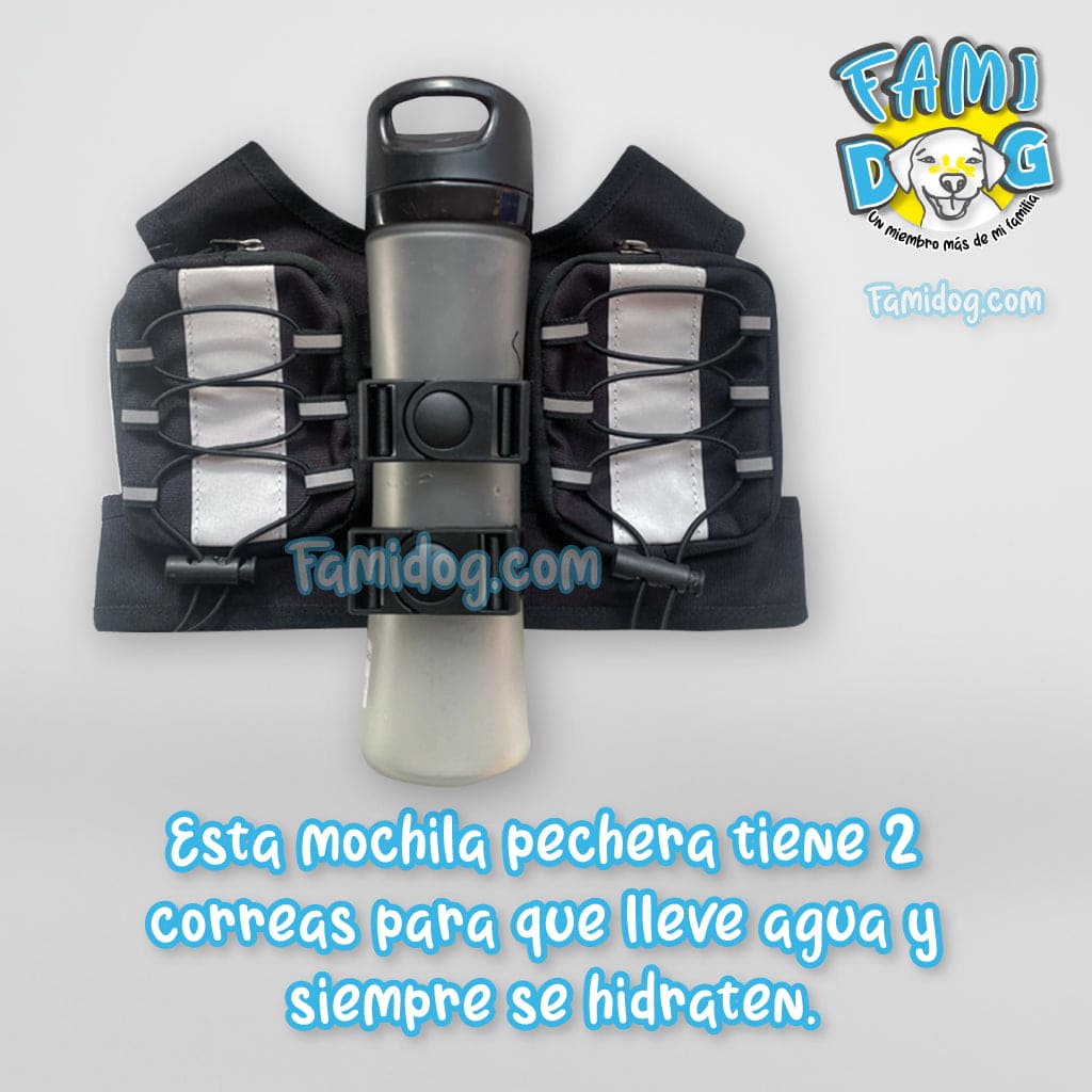 Mochila pechera