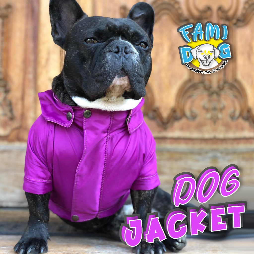 DOG JACKET®️