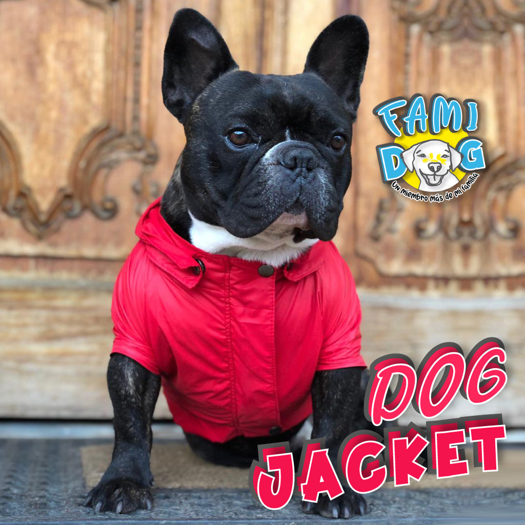 DOG JACKET®️