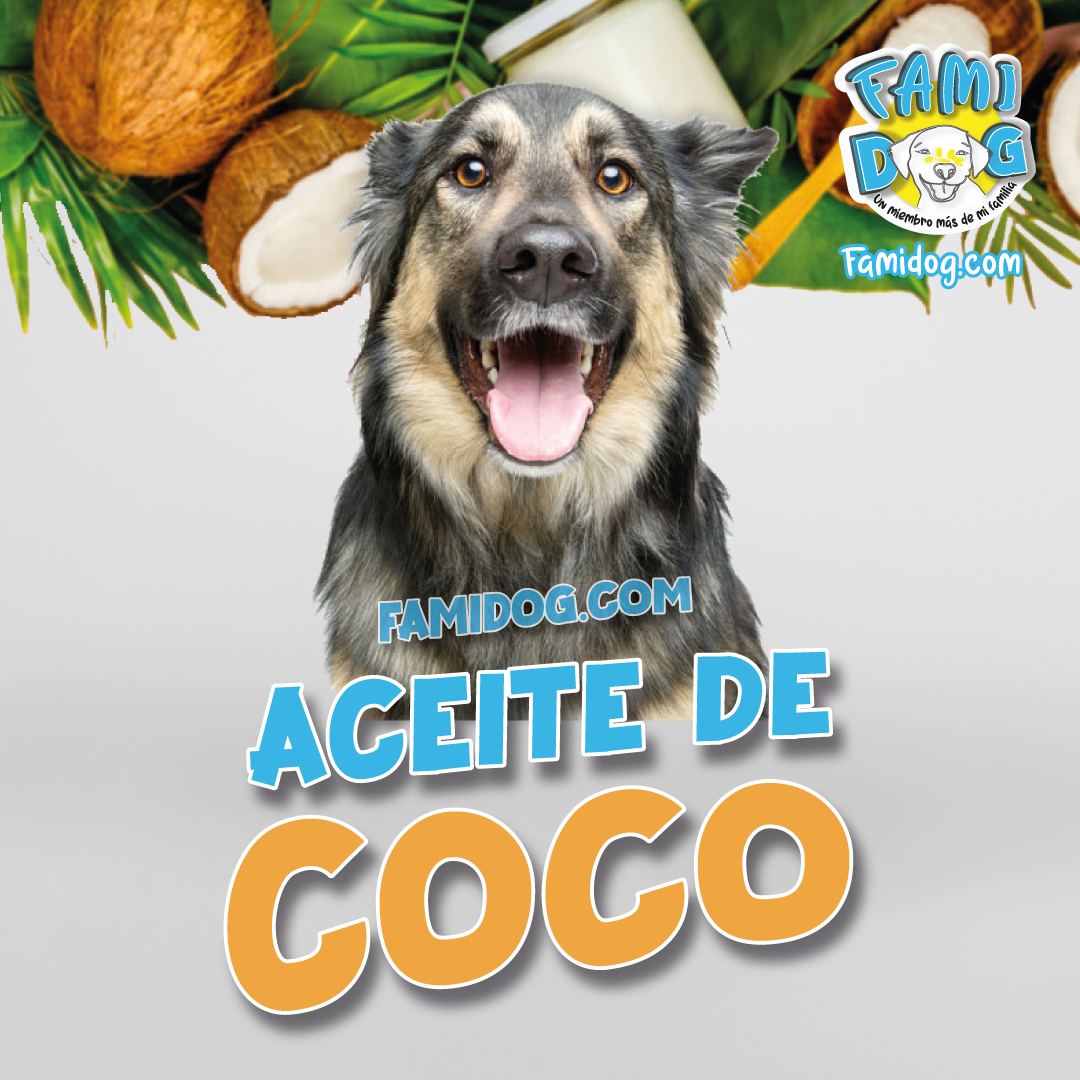 Aceite de coco