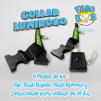 Collar de Luz