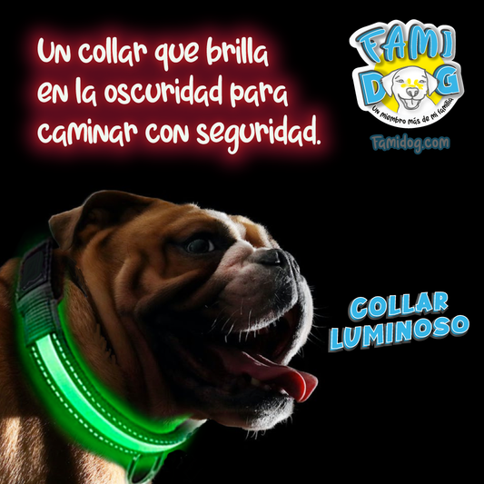 Collar de Luz
