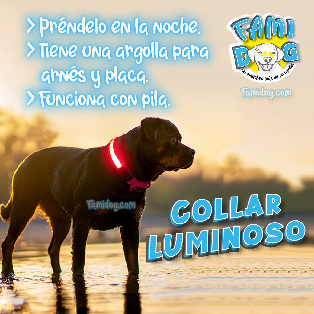 Collar de Luz