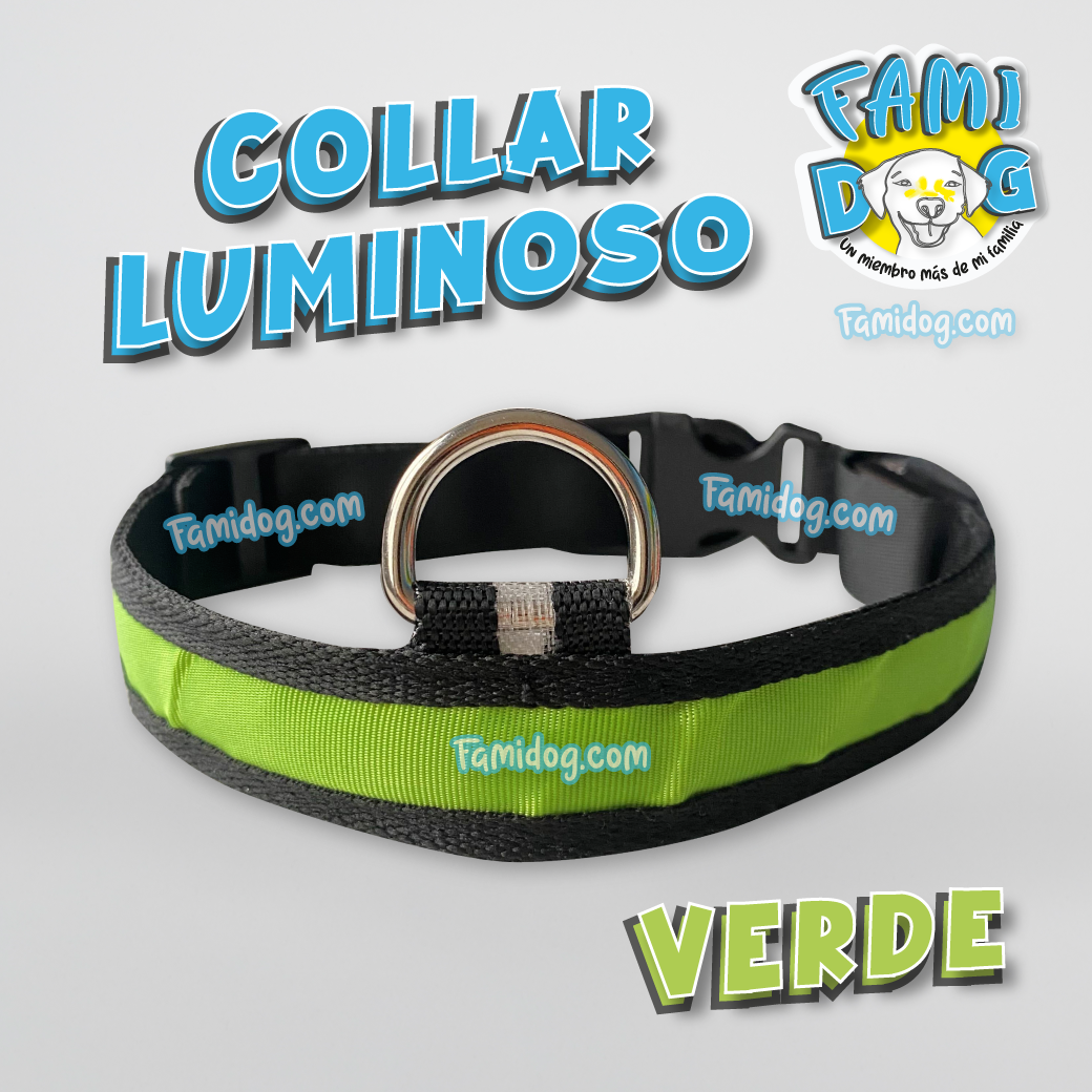 Collar de Luz