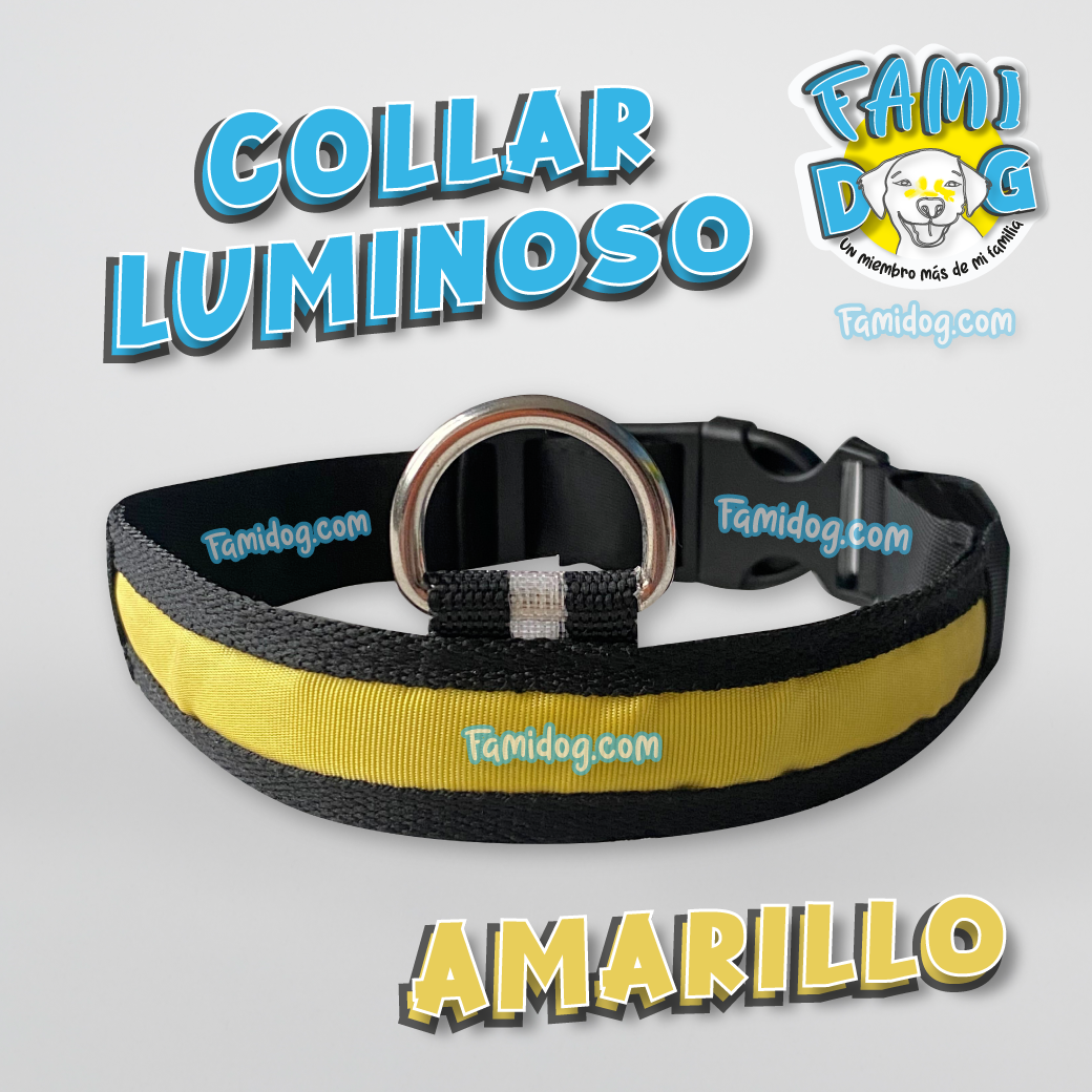 Collar de Luz