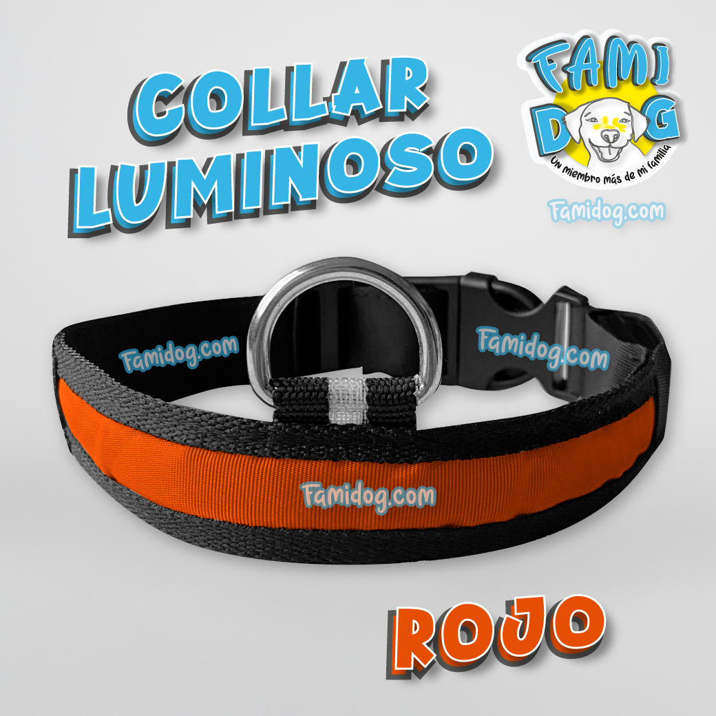 Collar de Luz