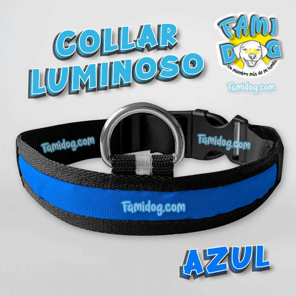 Collar de Luz