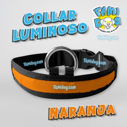 Collar de Luz