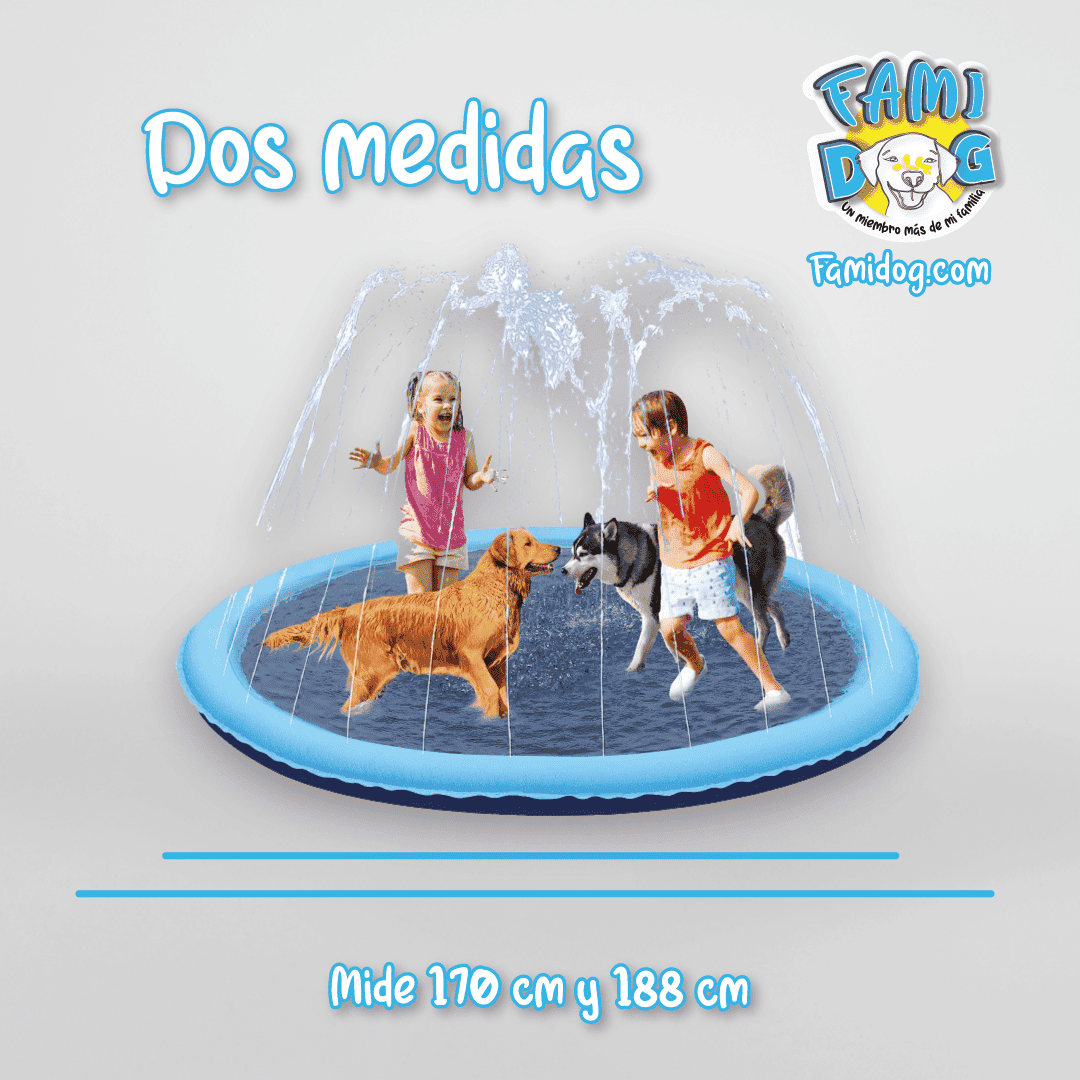 Pileta DogSplash