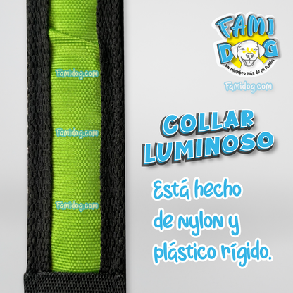 Collar de Luz
