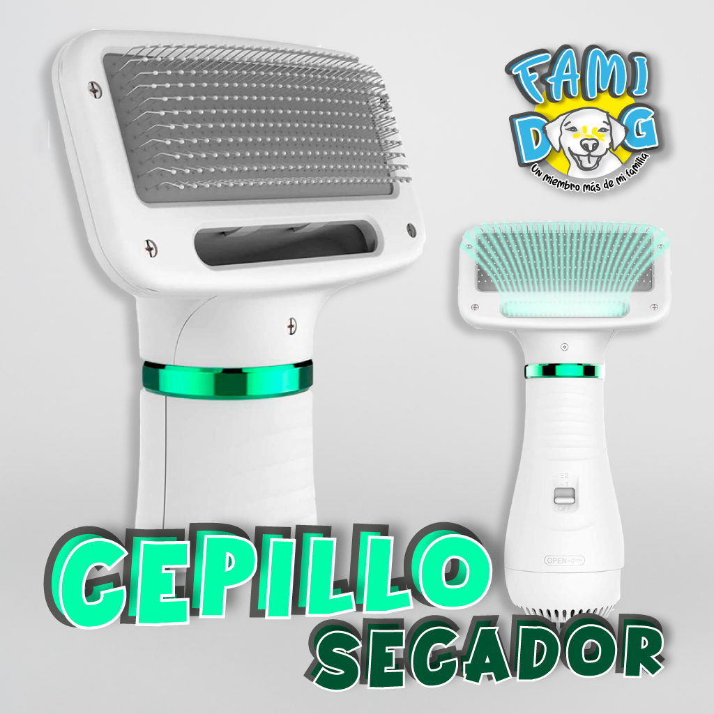 Cepillo secador®️