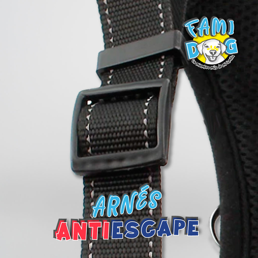 Arnes Antiescape®
