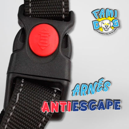 Arnes Antiescape®