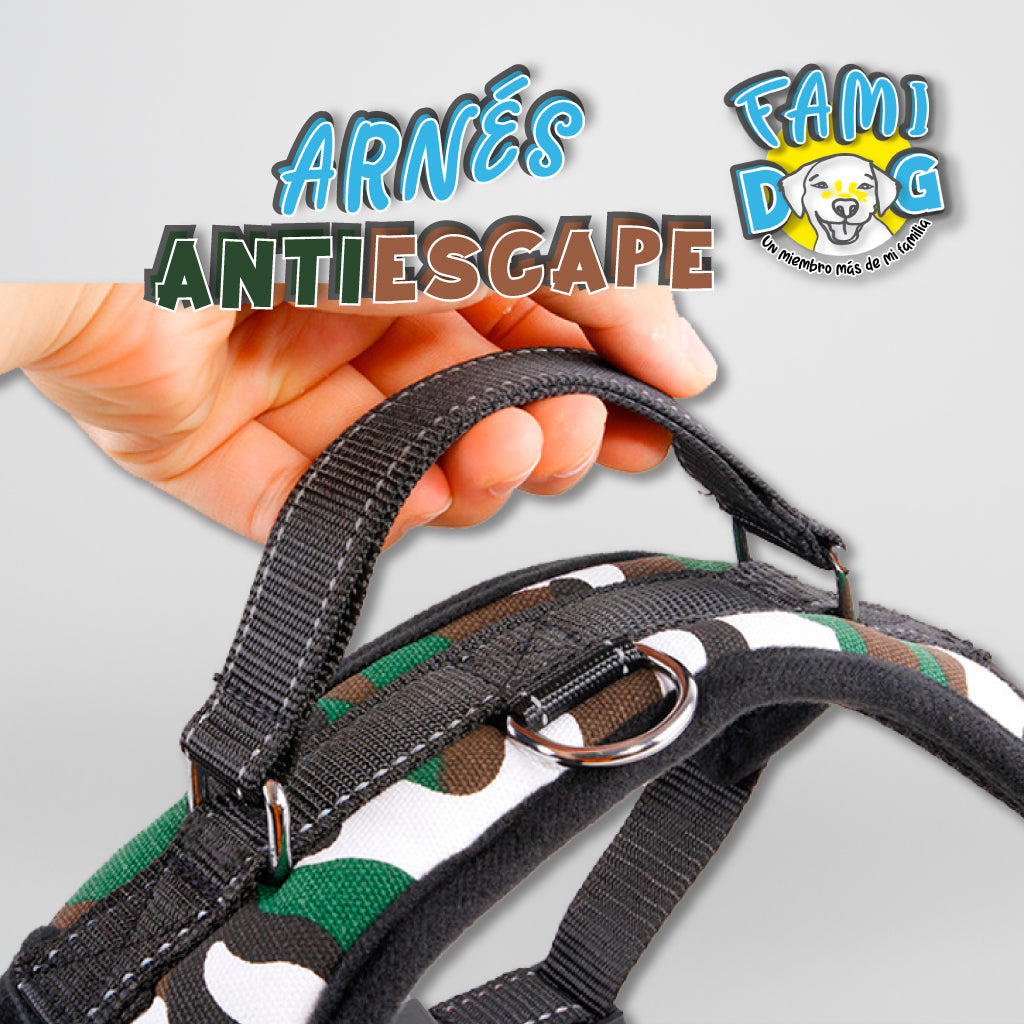 Arnes Antiescape®
