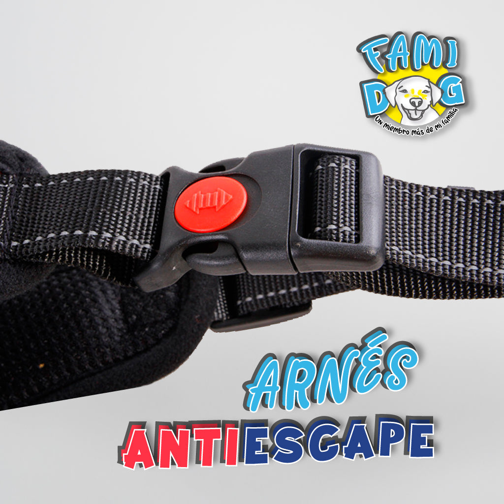 Arnes Antiescape®