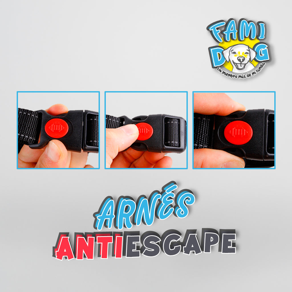 Arnes Antiescape®