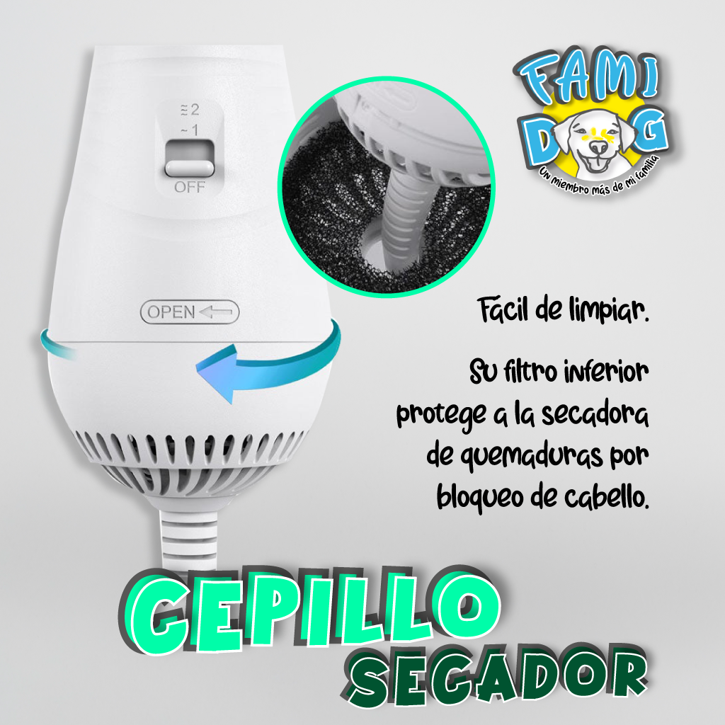 Cepillo secador®️