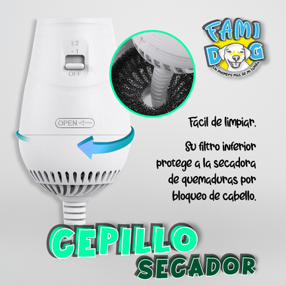 Cepillo secador®️
