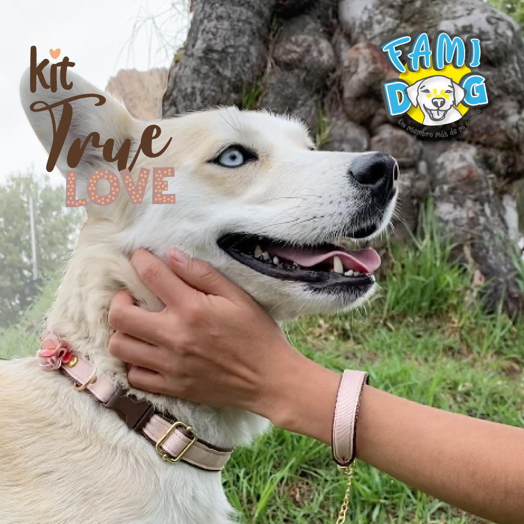 Kit True Love®