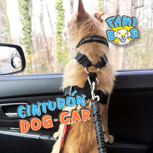 Cinturón Dog Car®