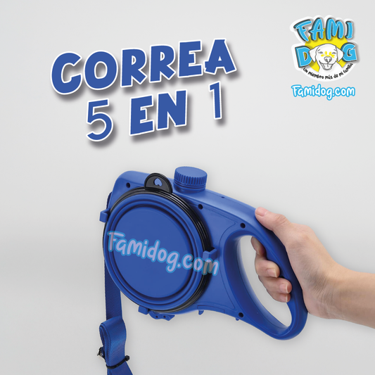 Correa 5 en 1
