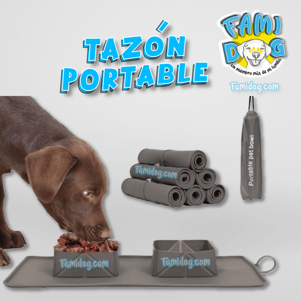 Plato de Viaje Enrollable para Mascotas
