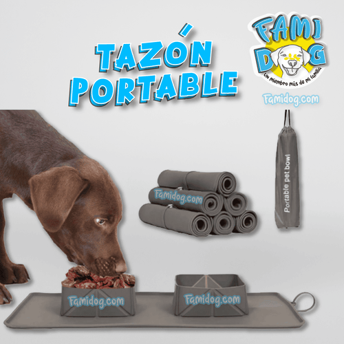 Plato de Viaje Enrollable para Mascotas